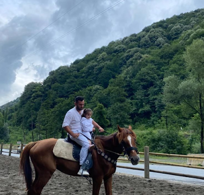 Badomer At Çiftliği