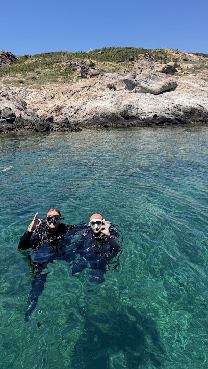 Bahçeşehir Diving Tüplü Dalış Eğitimi ve Okulu