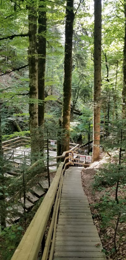 Baklabostan Şelalesi