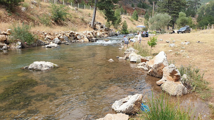 Başpınar Tabiat Parkı Kamp ve Piknik Alanı