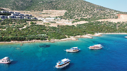 Bayside & Tora Boat Trips