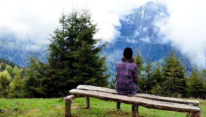 Bigezda Turizm ~ Rize Günübirlik Turlar – Rize Yayla Turları