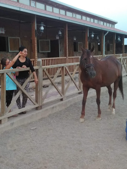 Binicilik ve Okçuluk Eğitim Merkezi