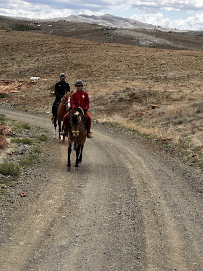 Birlik Atlı Spor Klubu