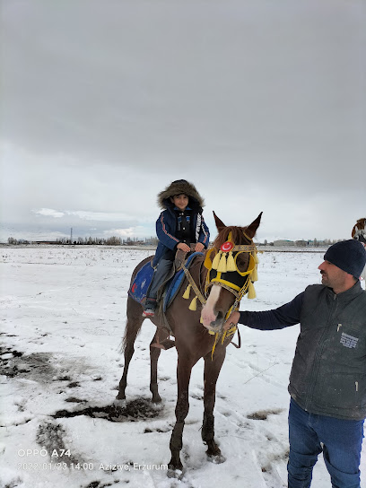 Bizim Köy Biniclik&Cafe