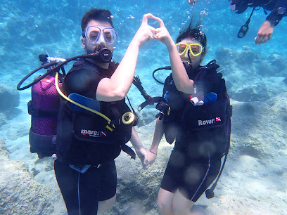 Blue Bubble - İstanbul Dalış