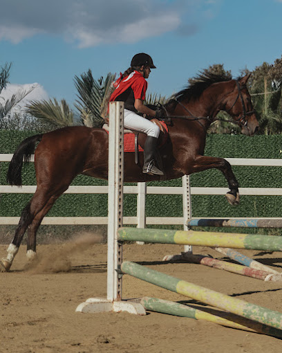 Bodrum Atlı Spor Kulübü