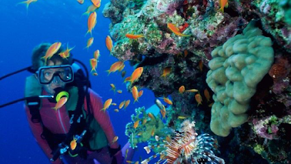 Bodrum Dalış Turu - TATİLDETURLA