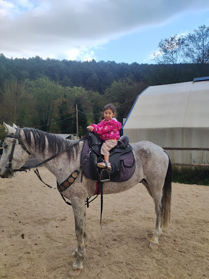 BOLU ATLI SPOR KULÜBÜ