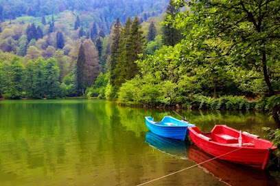 Borçka Karagöl Kamp Alanı