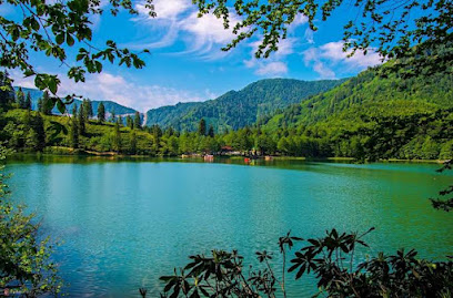 Borçka Karagöl Tabiat Parkı