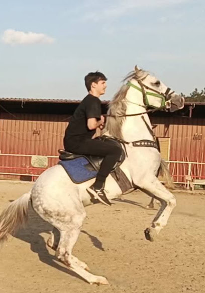 Bornova Karaçam Binicilik