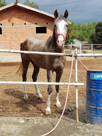 Burak atlı okçuluk ve spor tesisleri