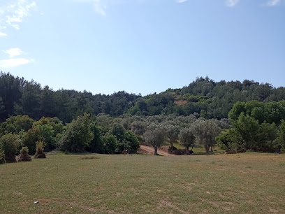 BURSA, Uludağ, Dağyenice Yürüyüş Yolu-Kısa