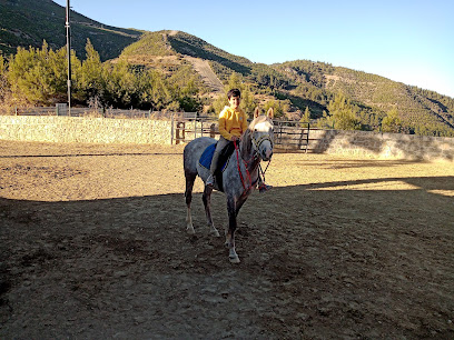 ÇAĞRI BİNİCİLİK VE ATLI SPOR KULÜBÜ