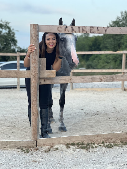 ÇakırBey At Çiftliği