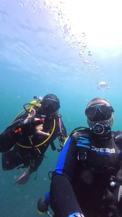 Çanakkale Balıkadamlar Dalış ve Eğitim Mrk