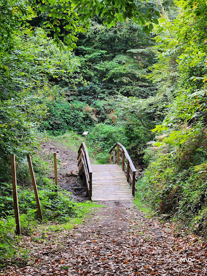 Canik Ekoturizm Alanı