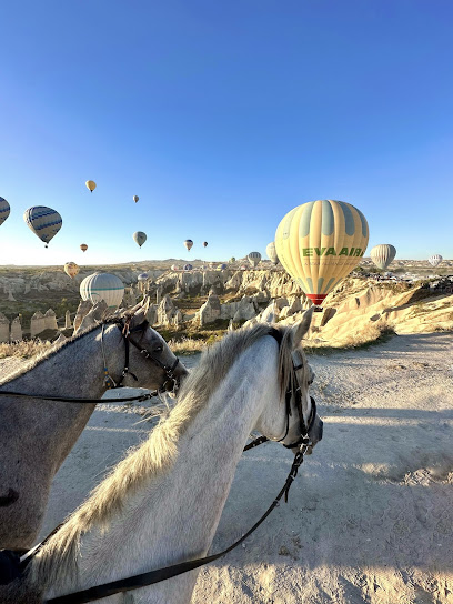 Cappadocia Cowboy