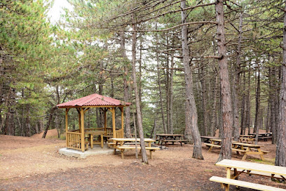 Çatak Tabiat Parkı