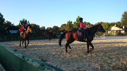 Çatalay Binicilik Atlı Spor Kulübü