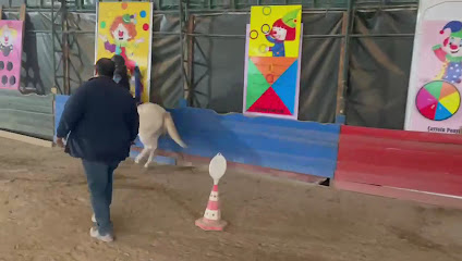 Cayyolu Atlı Binicilik Kulübü