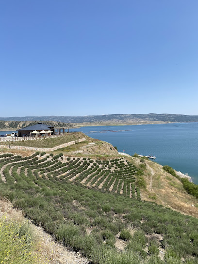 Çekerek lavanta adasi