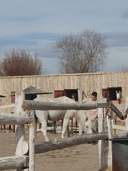 Cengâver Atlı Okçuluk Spor Kulübü