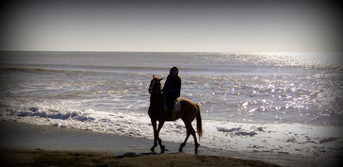 Çeşme Atlı Safari Pelin Gülseren