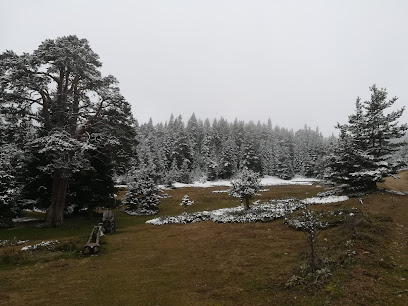 Çetikören Aladağ Yaylası