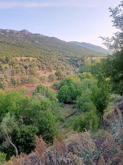 Çevrecik köyü şelalesi