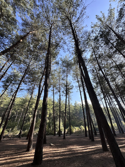 Çiftmazı Tabiat Parkı