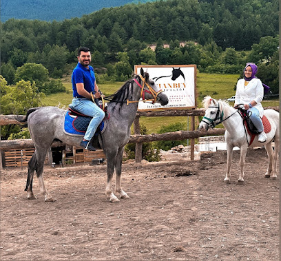 Cihanbey At Çiftliği