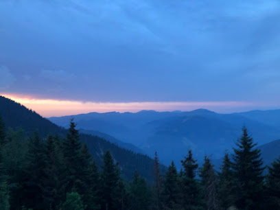 Çıkrıkdüzü yaylası