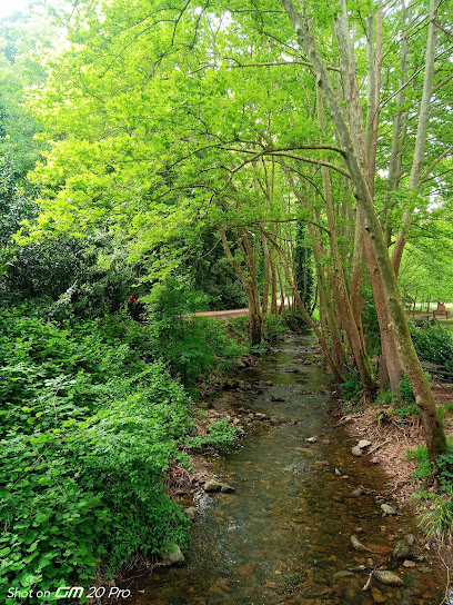 Çınarlıdere Mesire Alanı Yürüyüş parkur başlangıcı