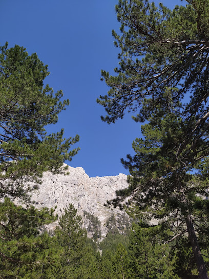 ÇOBANISA KÖYÜ BELEN