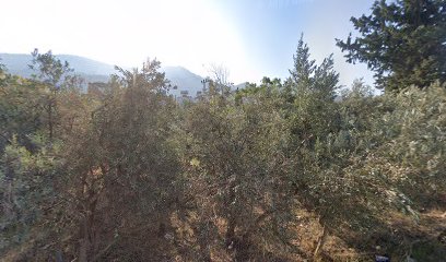 Çöğürlü Asi Yürüyüş Parkuru