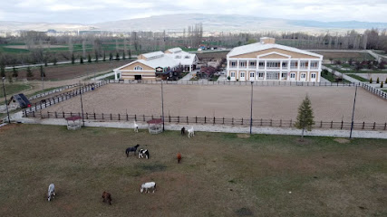 Çorum Anatolia Atlı Spor Kulübü