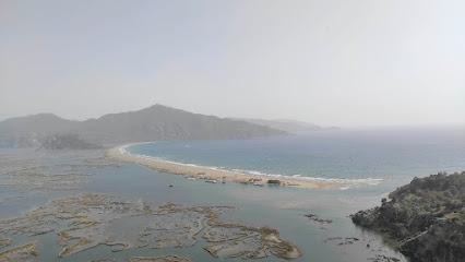 DALYAN TEKNE TURU TEKNE KİRALAMA (Boat Tour)