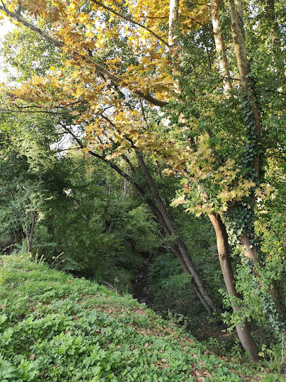 Damlar Vadisi Millet Bahçesi