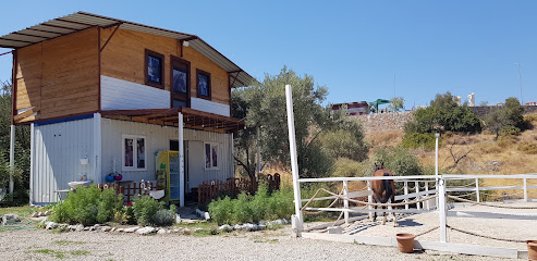 Datça Binicilik Merkezî