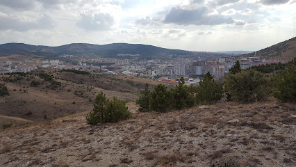 Davulbaztepe Tabiat Parkı