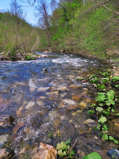 Değirmendere Derin Vadiler Su Kaynakları Ve Şelaleler