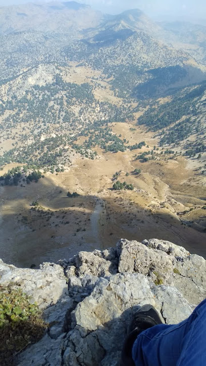 Deli höbek dağı zirve