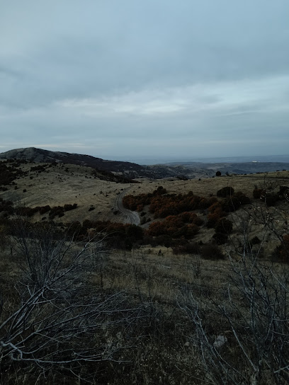 Delik Kaya Çadırardıç