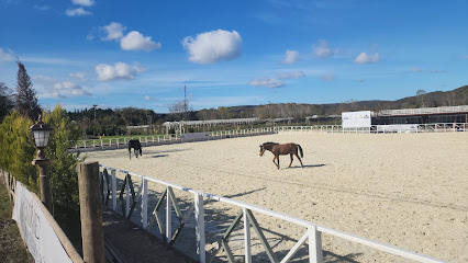 Demir Bey Atlı Spor Kulübü