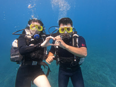 Deniz Feneri Diving Center | CMAS TSSF PADI