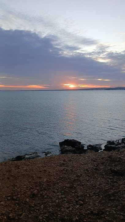 Didim akbuk tekne gezi ve balik turları