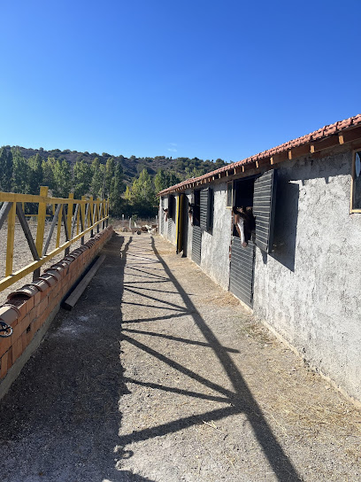 Dinç Atlı Spor Kulübü