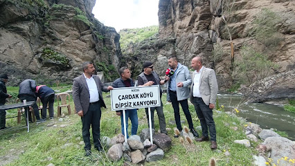 Dipsiz kanyon ve şelalesi